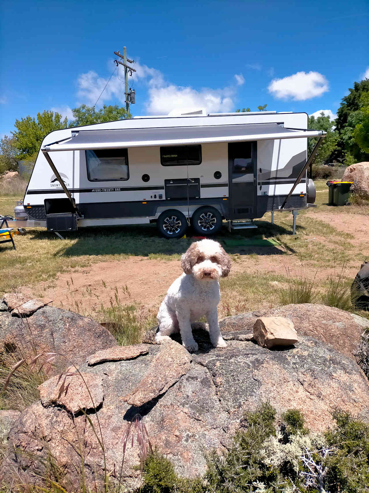 A dog friendly camp