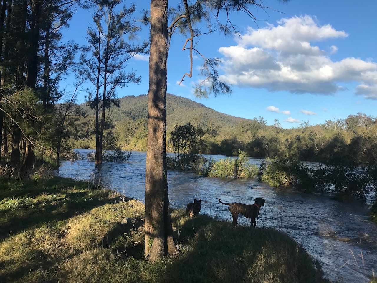 Cracknback Riverside Campground