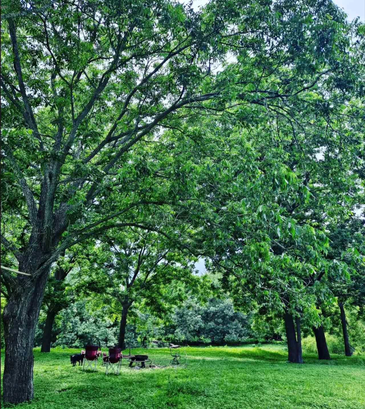 River Grove Campground