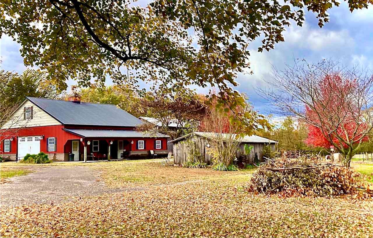 The Art Barn and the old milk shed.