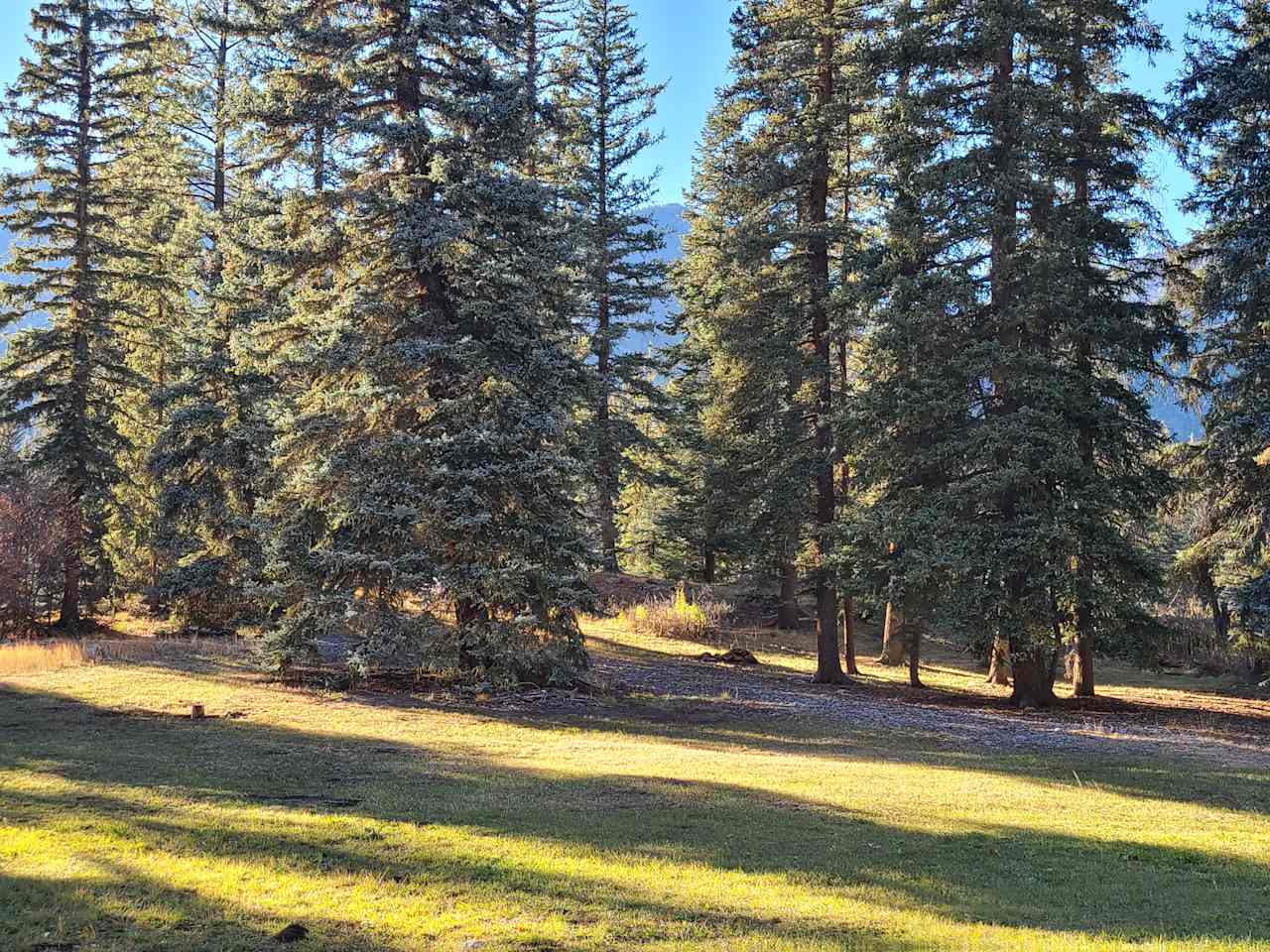 South meadow, looking at RV site #1