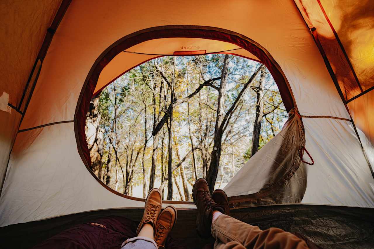 Wake up to an amazing view of the surrounding forest!