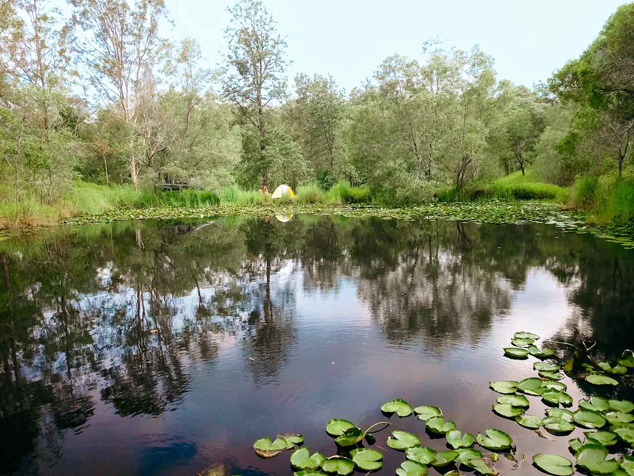 lakeside views