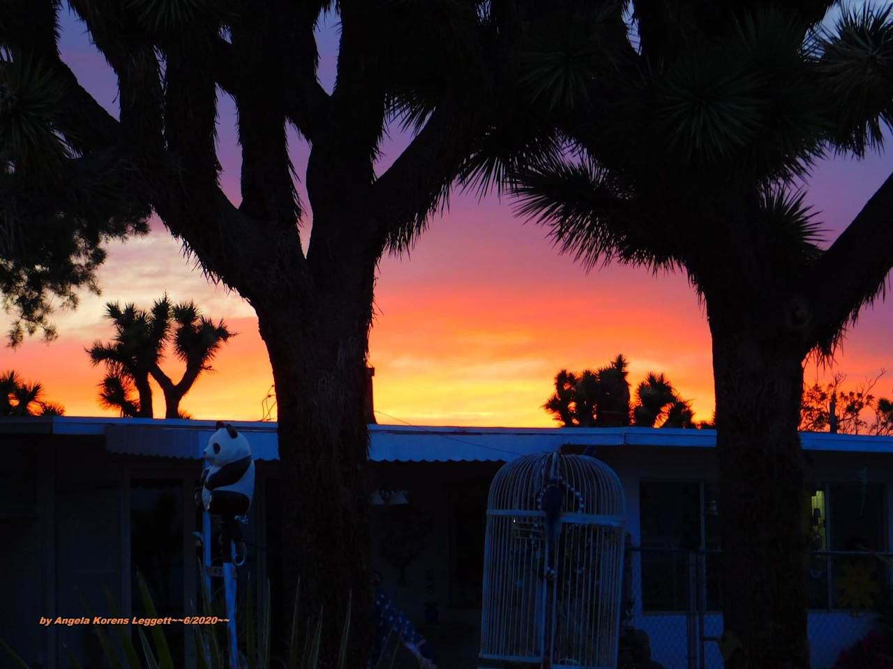 Joshua Tree Container Resort