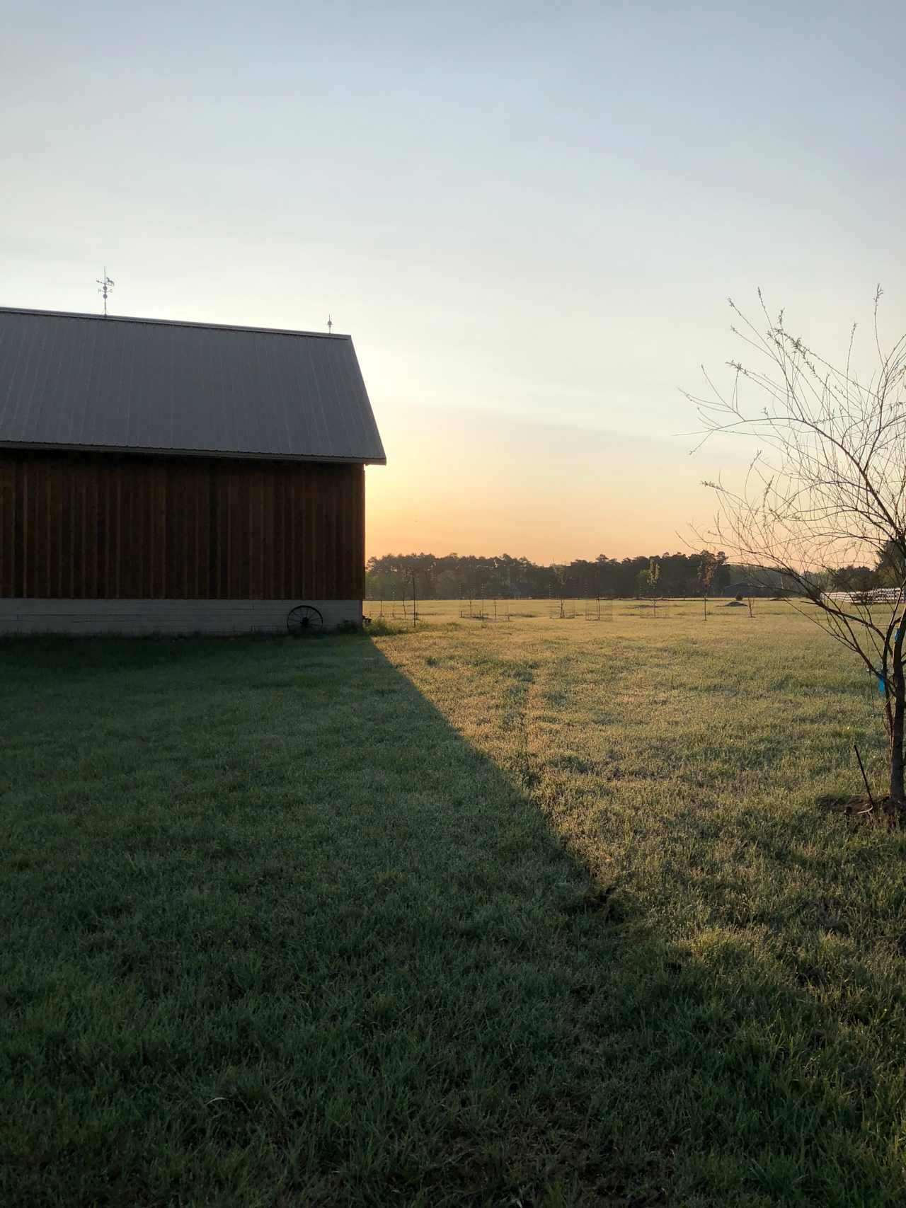 Debbie’s Meadow