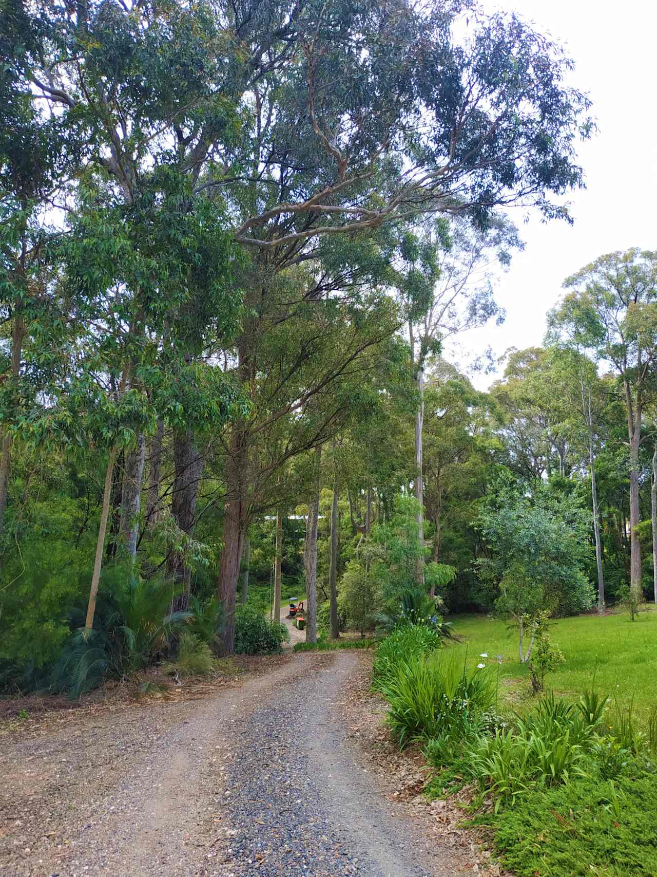 Narooma Paradise