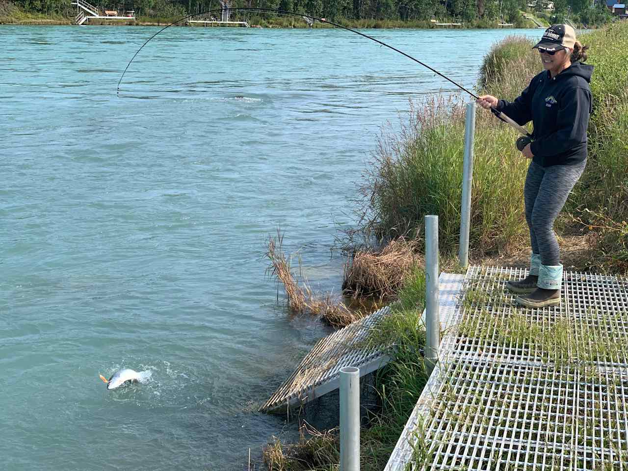 Kenai River Salmon Camp