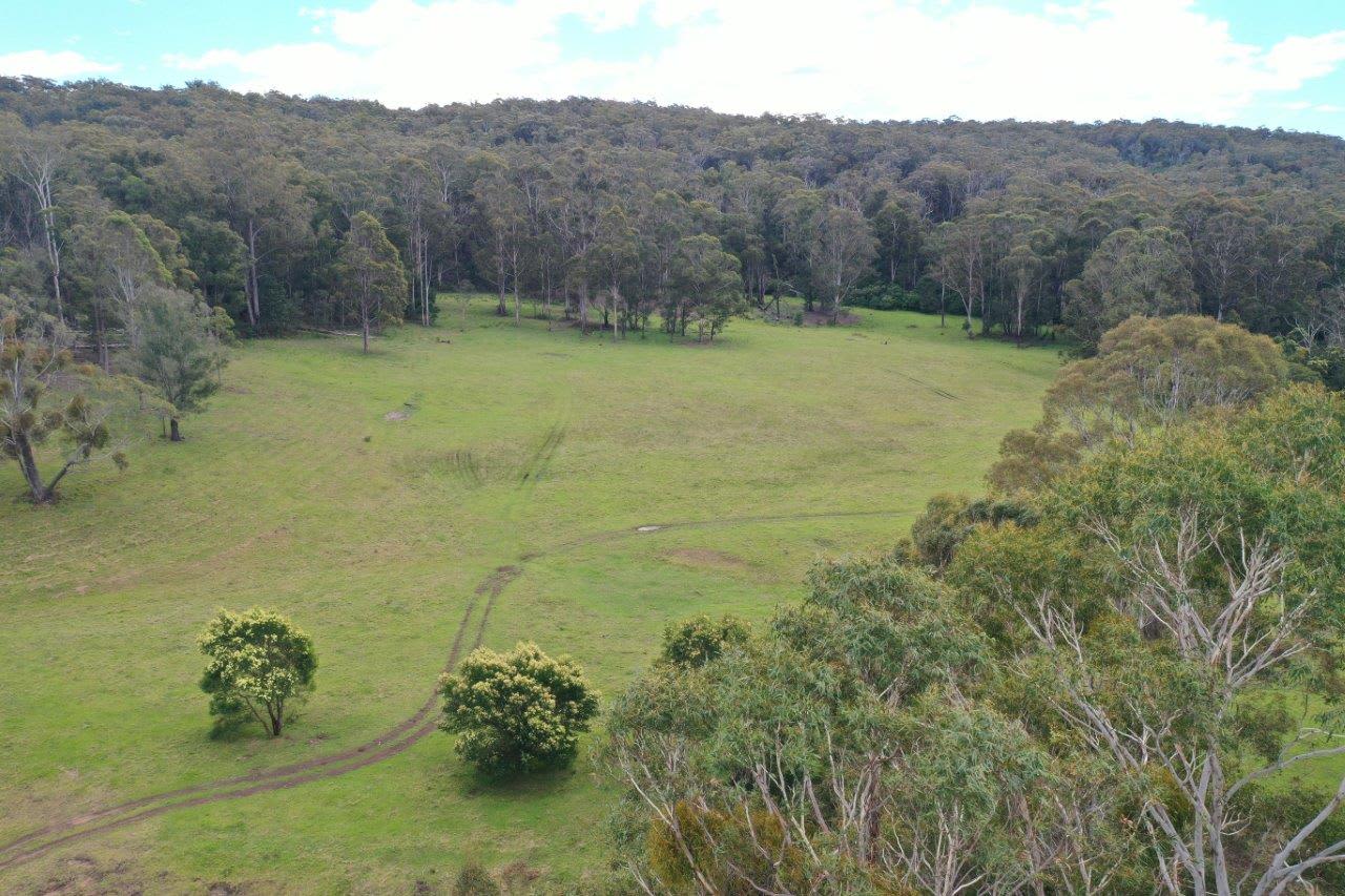 Looking up into 3. Big Paddock at Merimbula Bushcamp