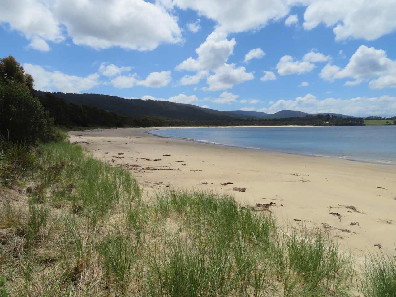 Beach just over the road