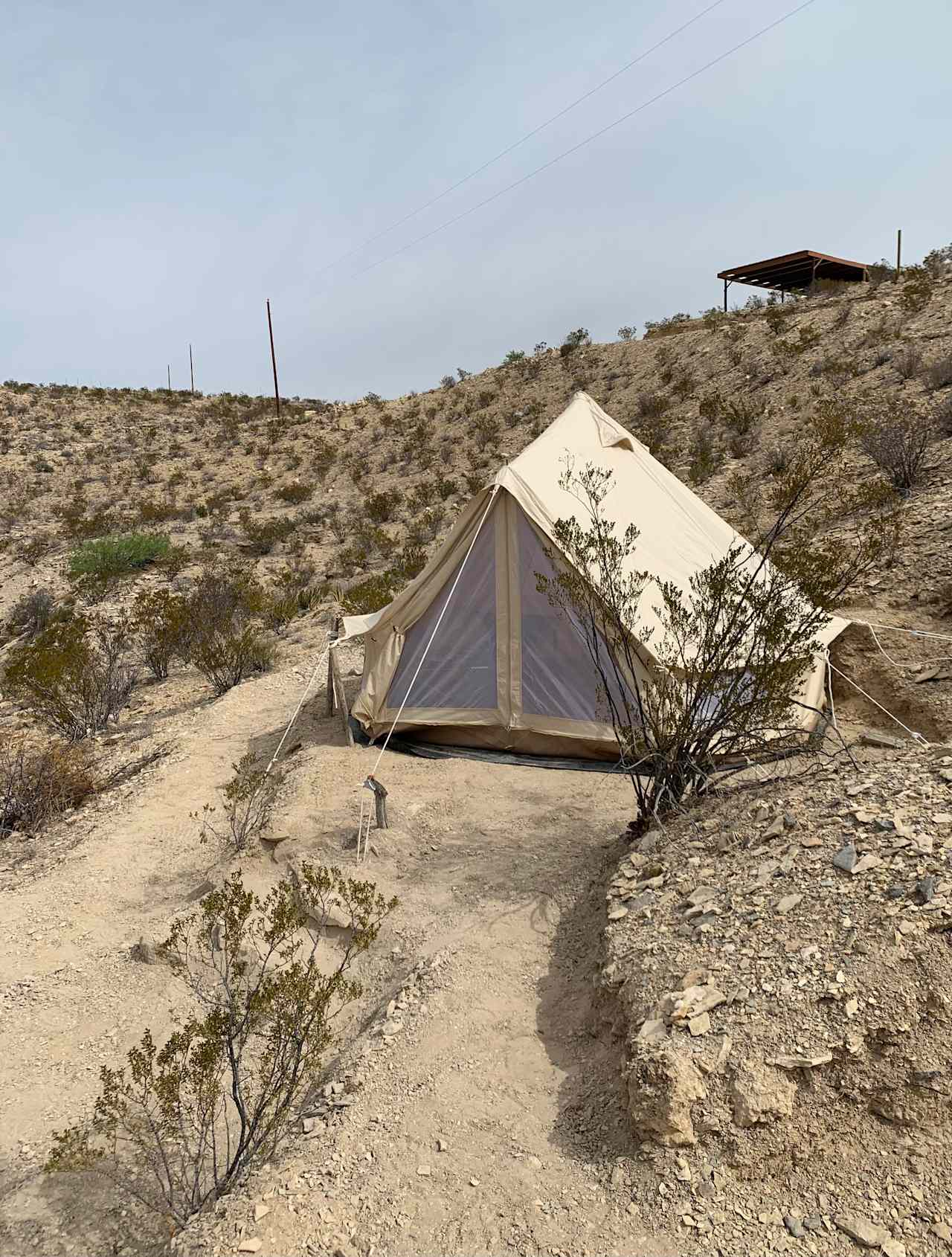 Canvas bell tents may reopen for glamping at a later date.