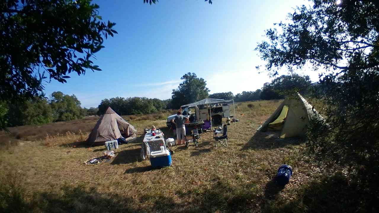 Camping in the field