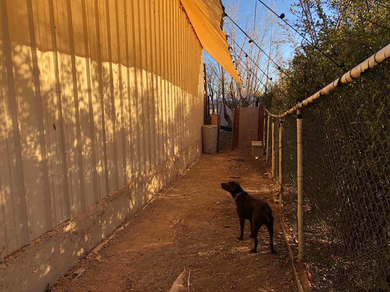 Large fenced and gated dog run on Site 2