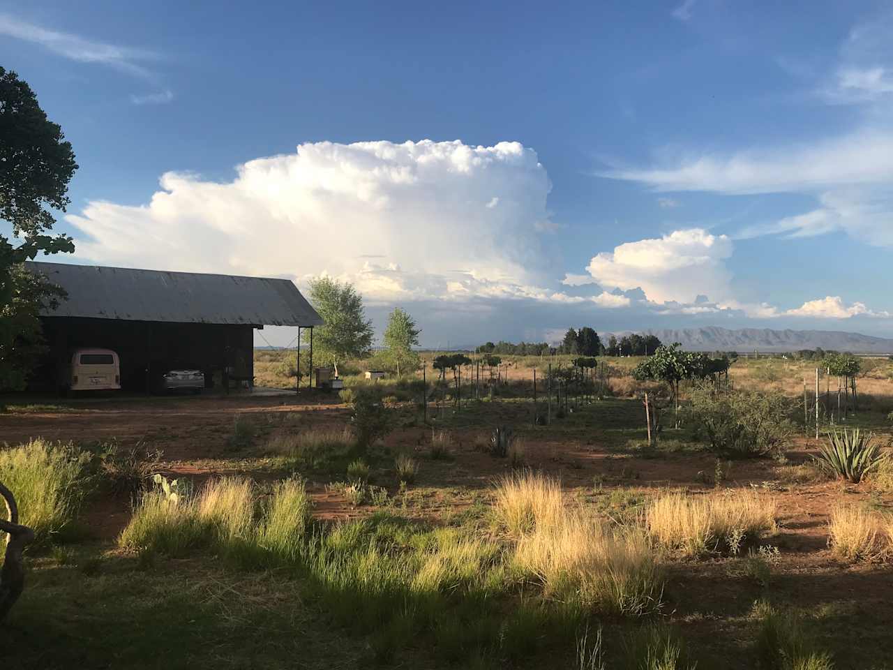 Looking East to the Chiricahua and Swisshelm Mountains. Birding sanctuary