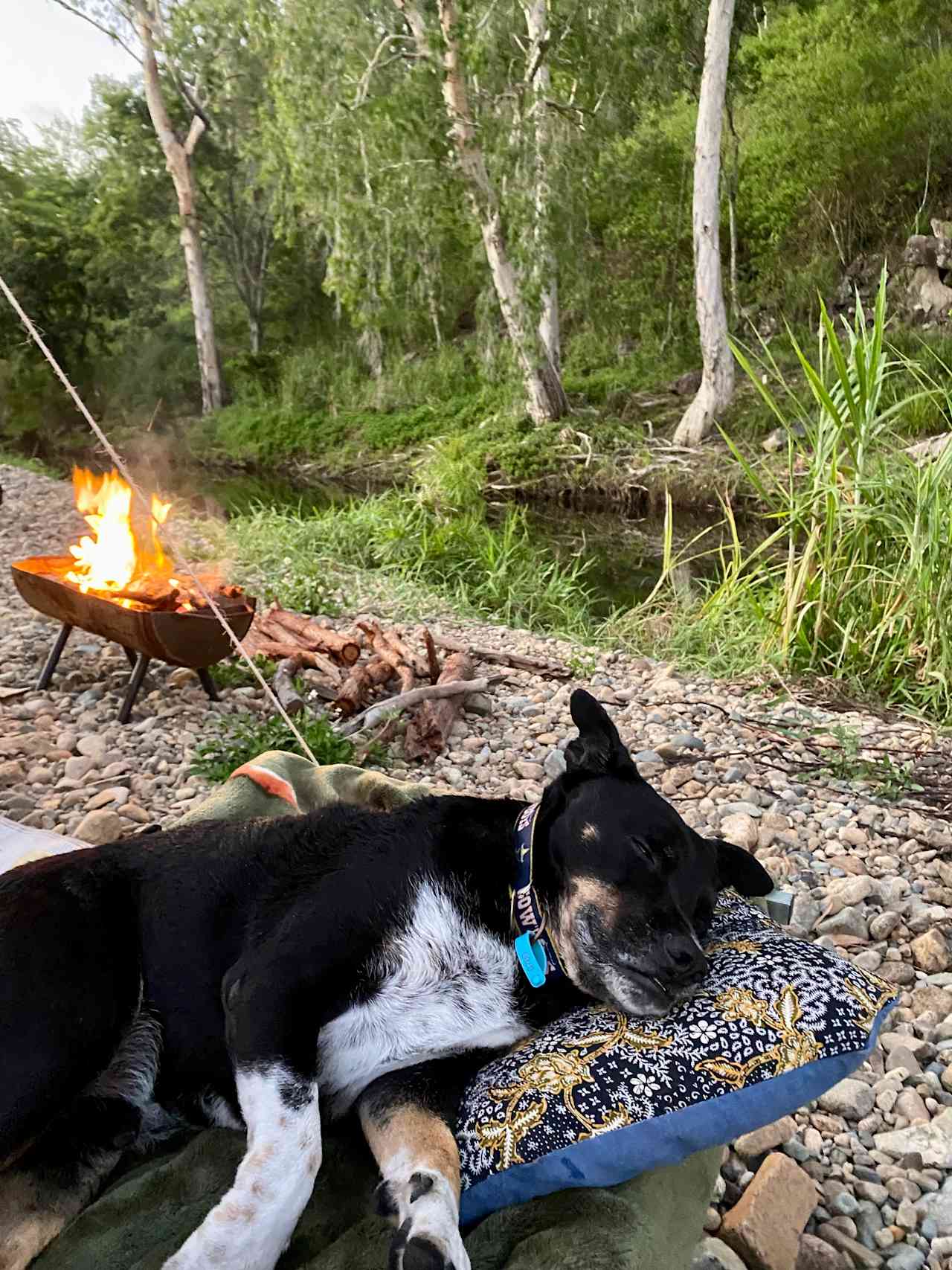 Creek and Antique Camping