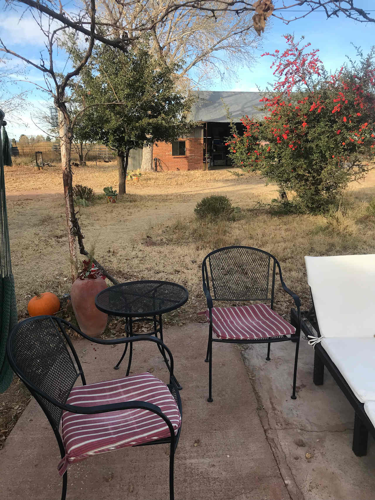 Sandhill casita from host patio