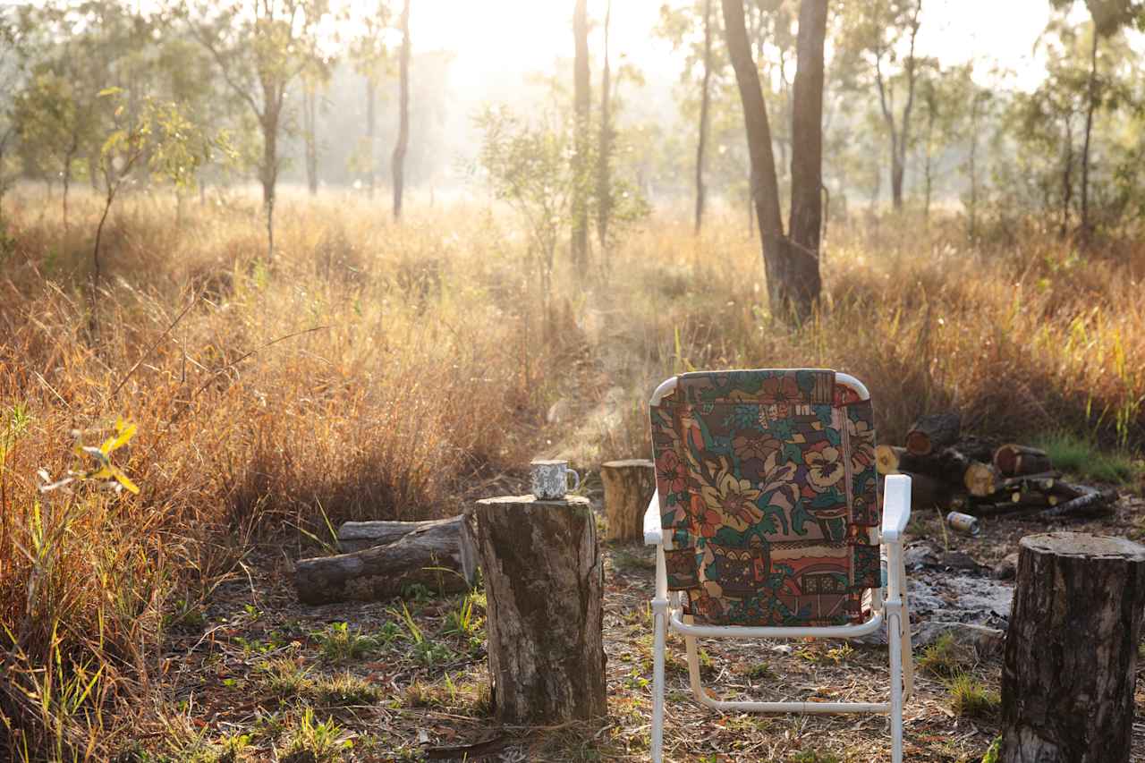 Morning light and a hot tea