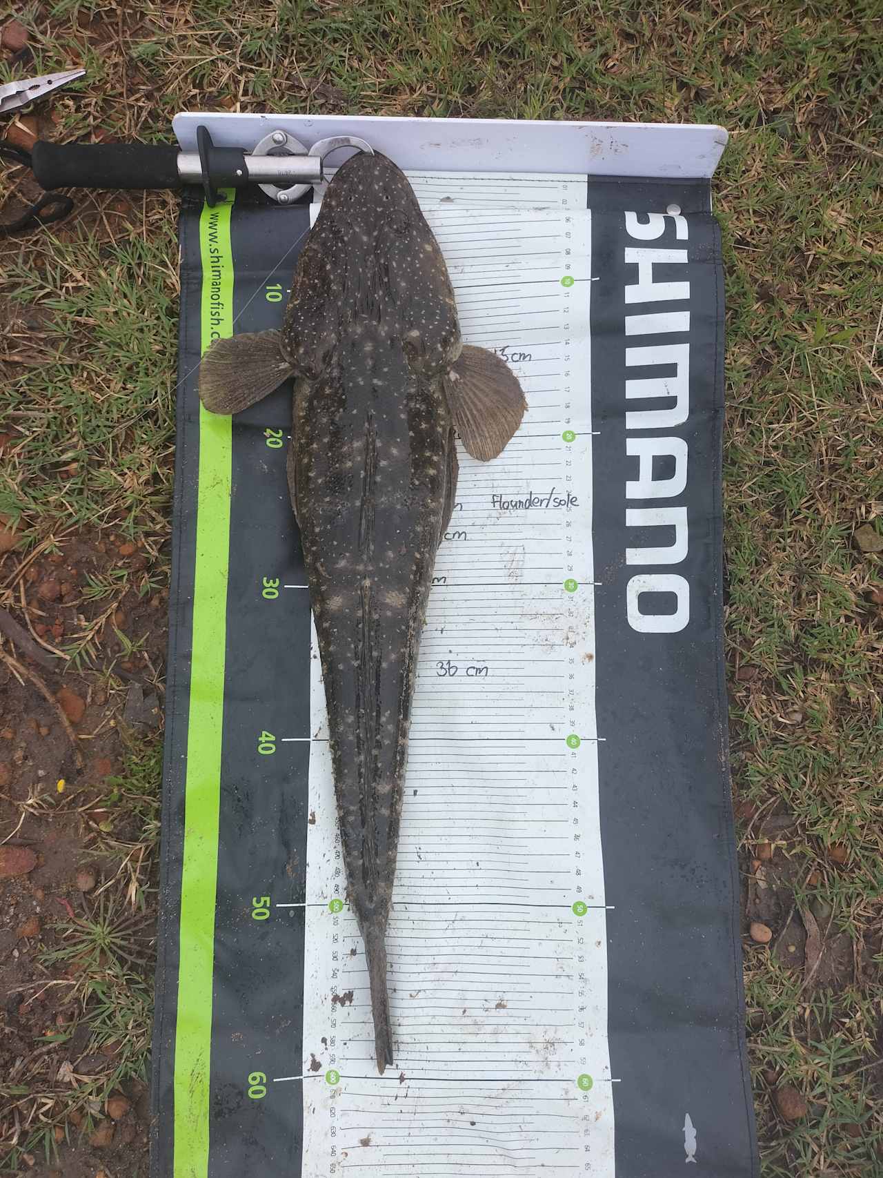 Caught in the river on the campsite. Some amazing fishing 