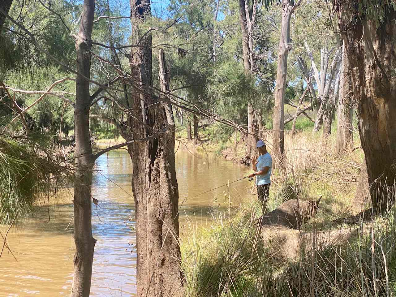 Fishing at the Talbragar river sites (can be pending water levels and recent rain)