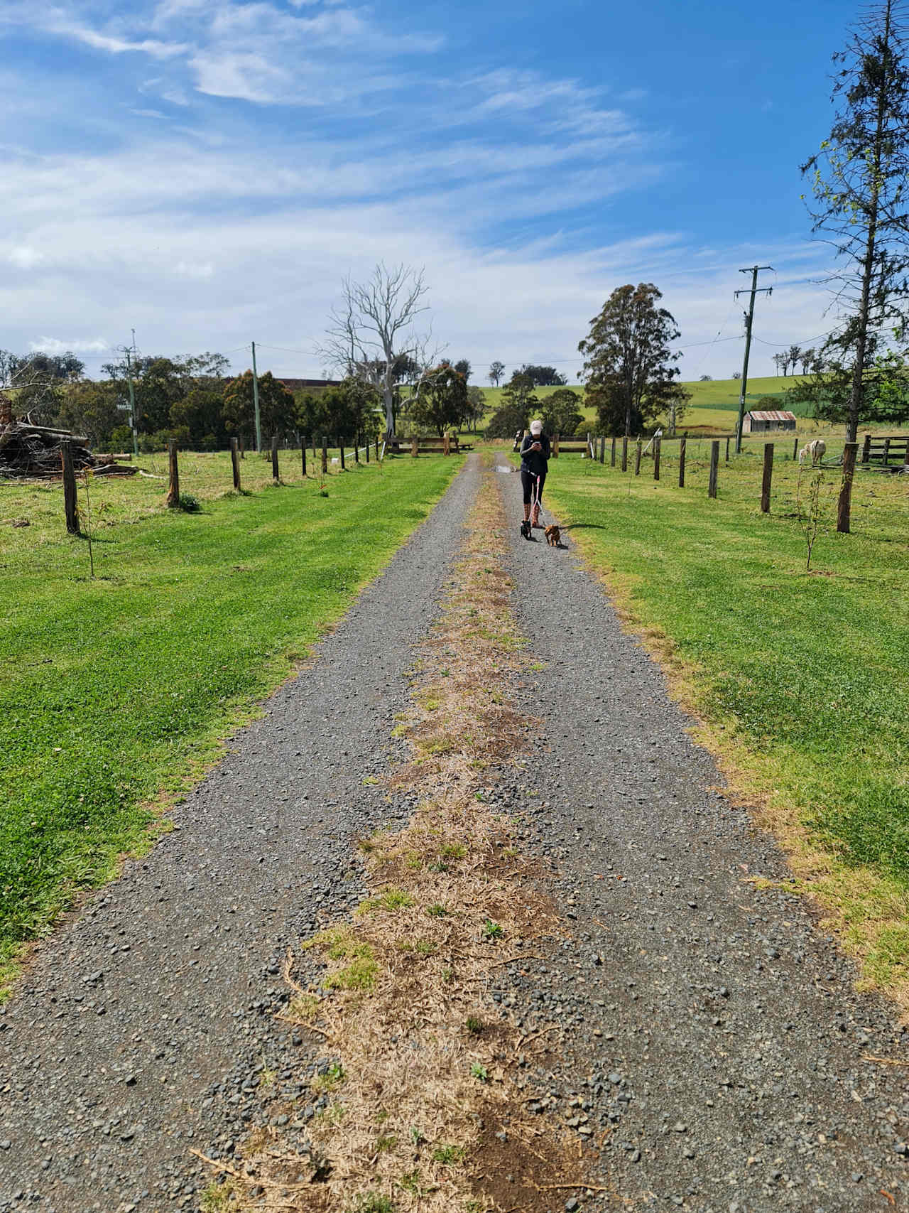 Tyringham River Camp