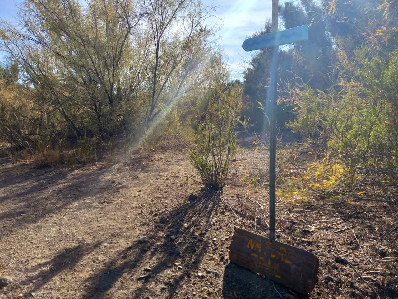 Nature trail to observation deck