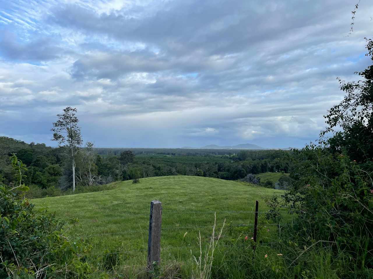 View from Avocados and Bush site