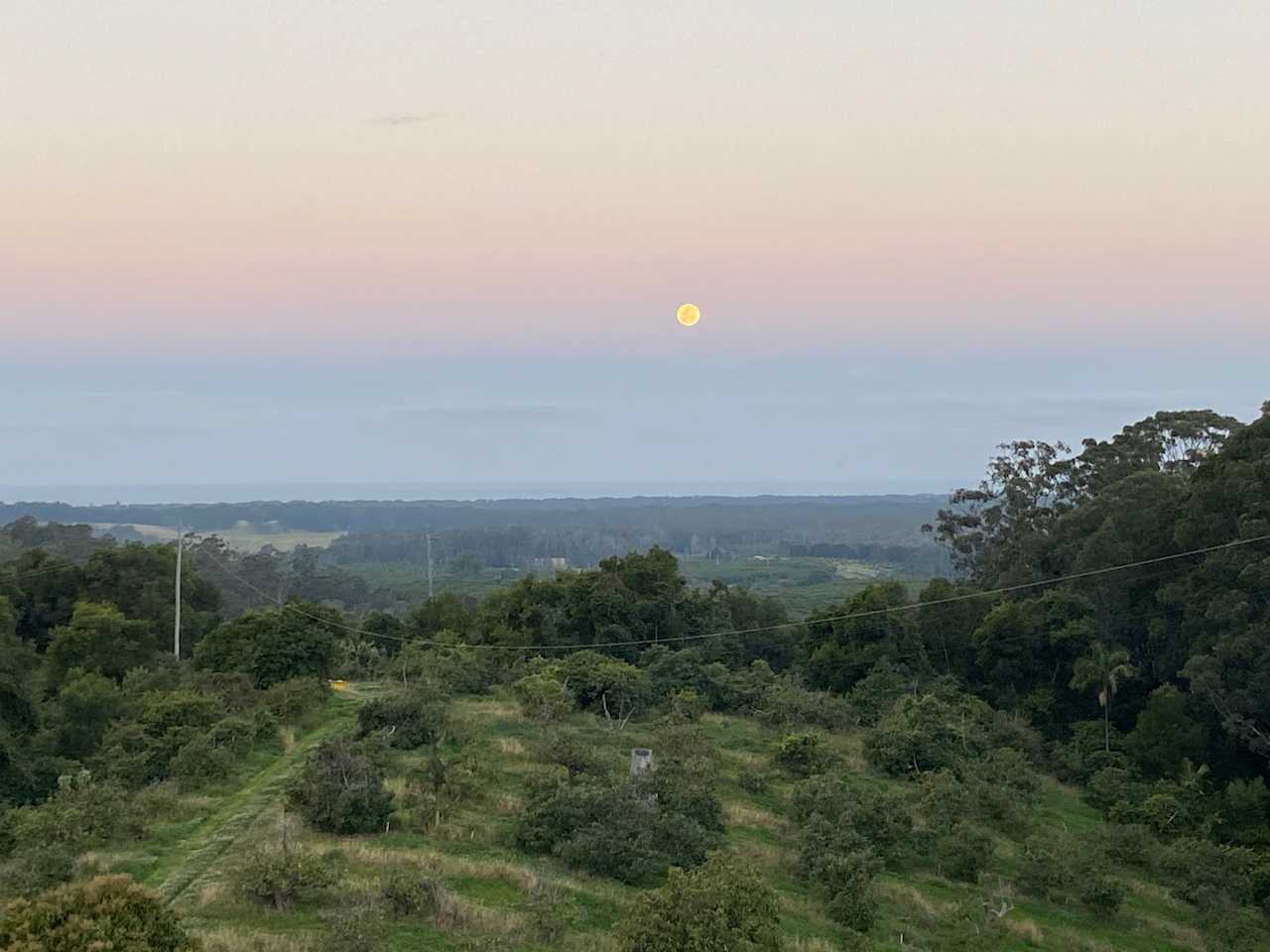 View from Aviary site