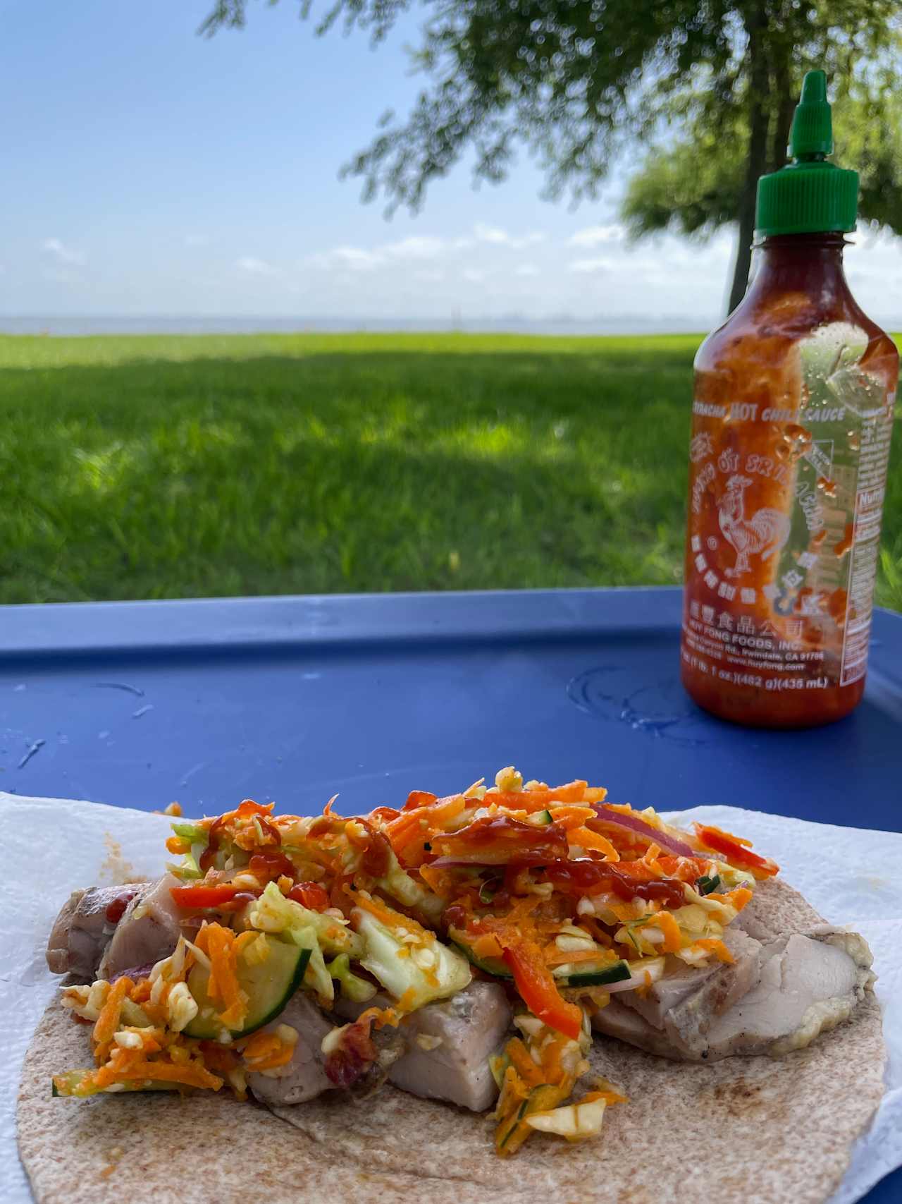 Camping lunches with a view