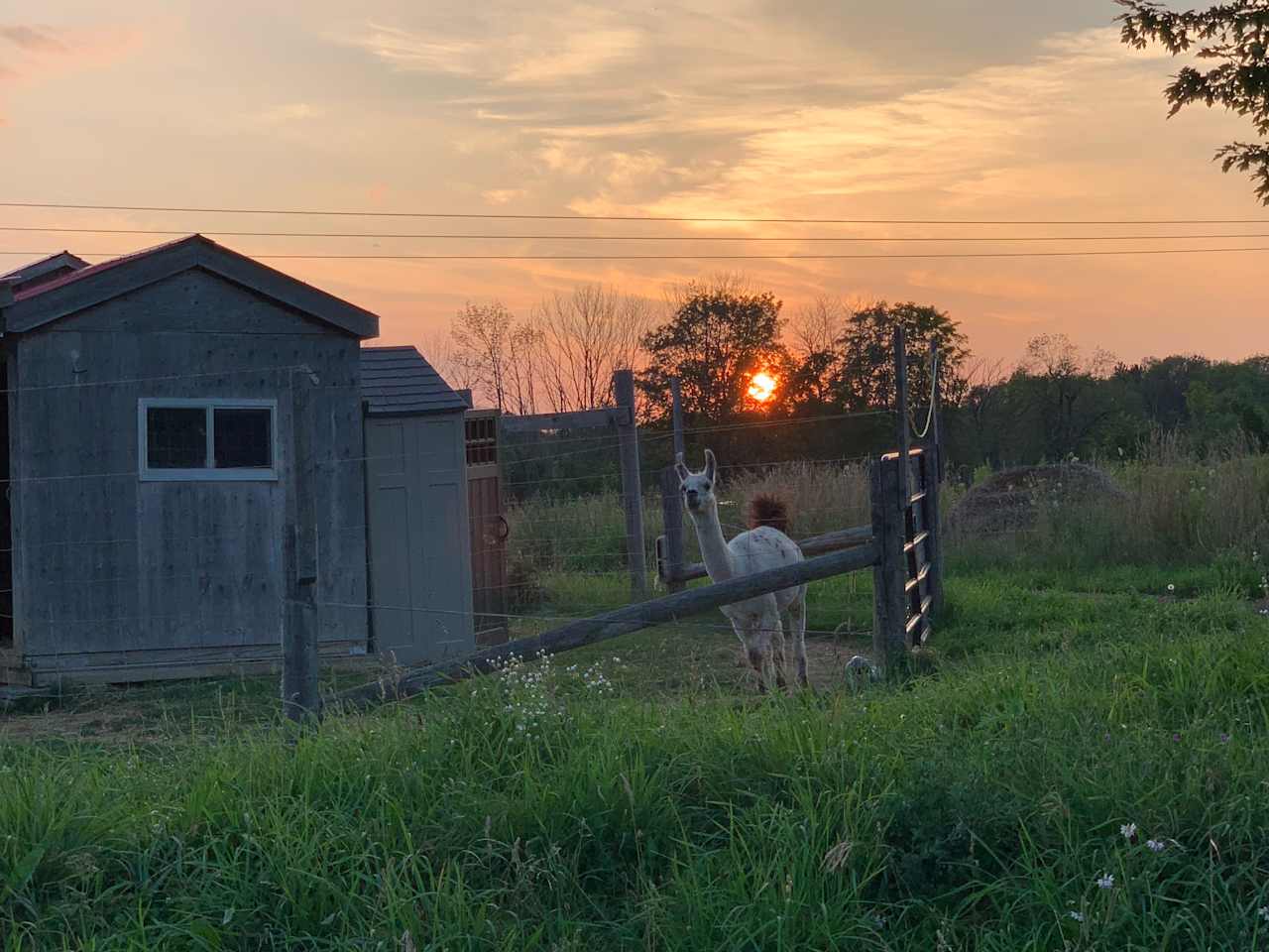 Sunset at Wishing Well