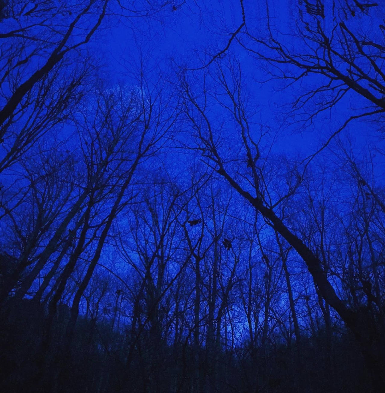 The first morning sky of 2022! I start the day to the sound of water over rocks and birds chirping while I boiled tea on the fire.

The water from the stream was clear and odorless, and it passed the boil test.