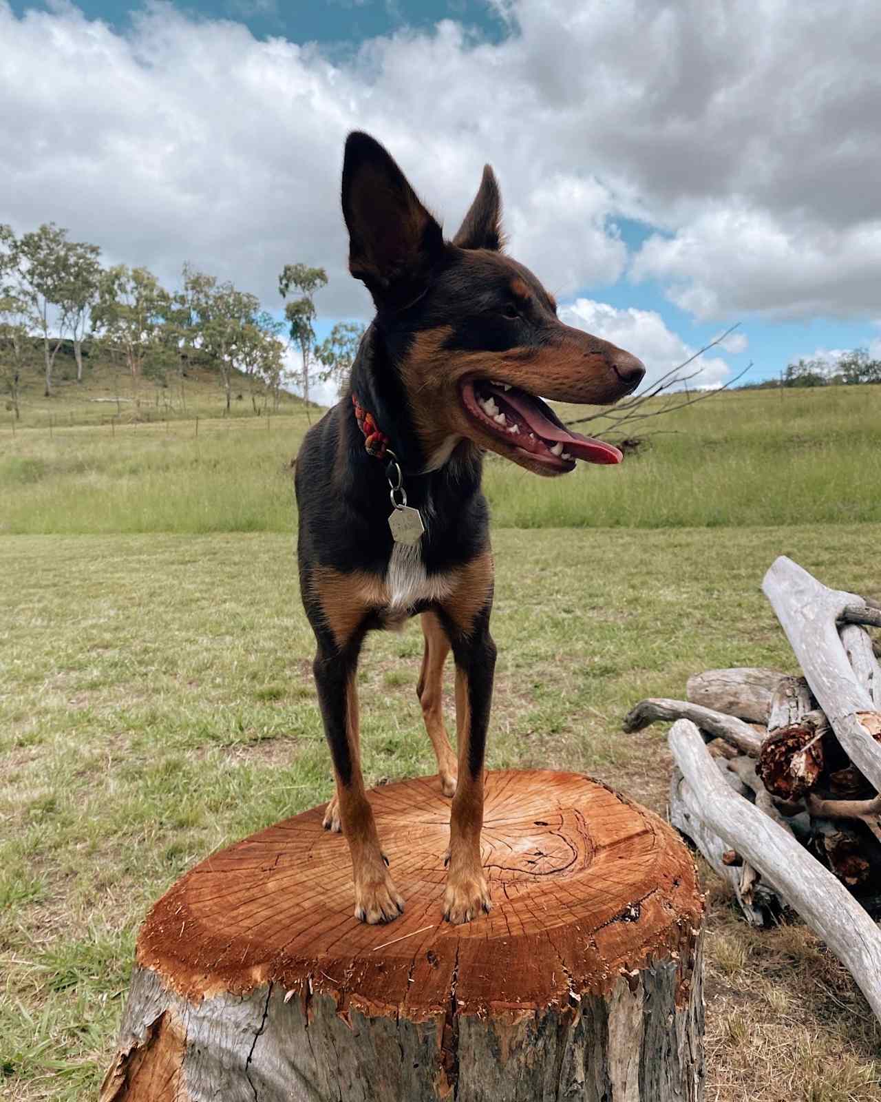 Glenroy Camping