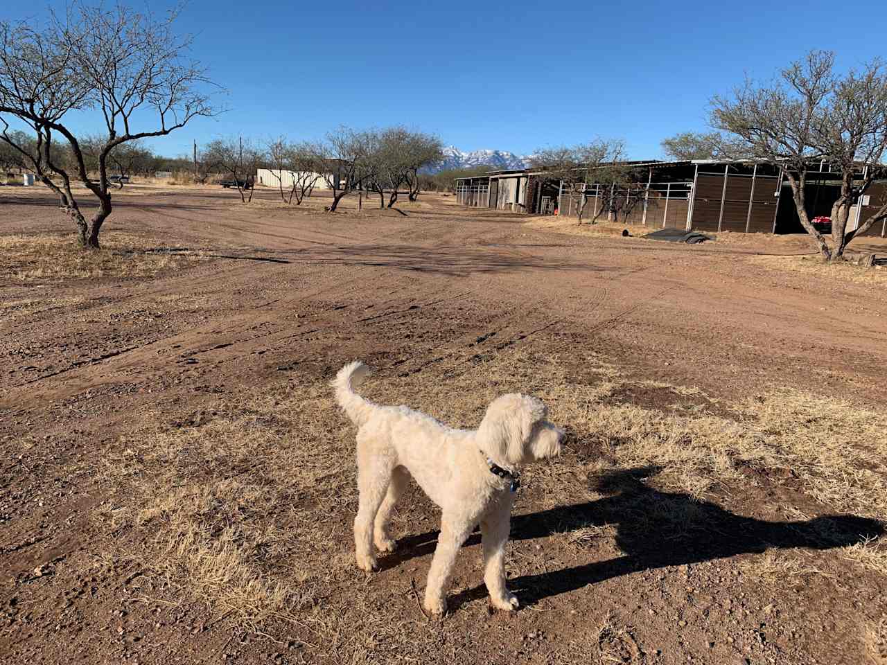 Rancho del Nido RV Horse Camp