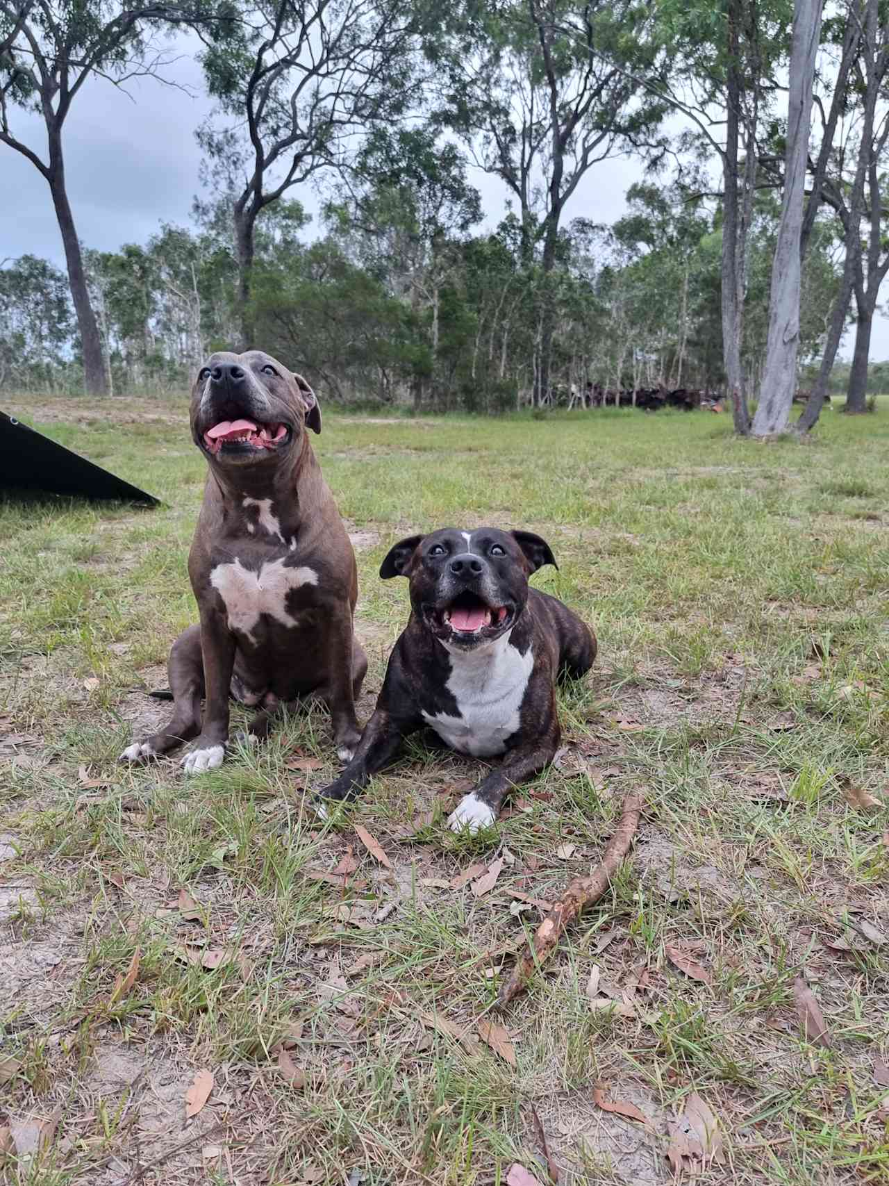 Our babies loved camping here..