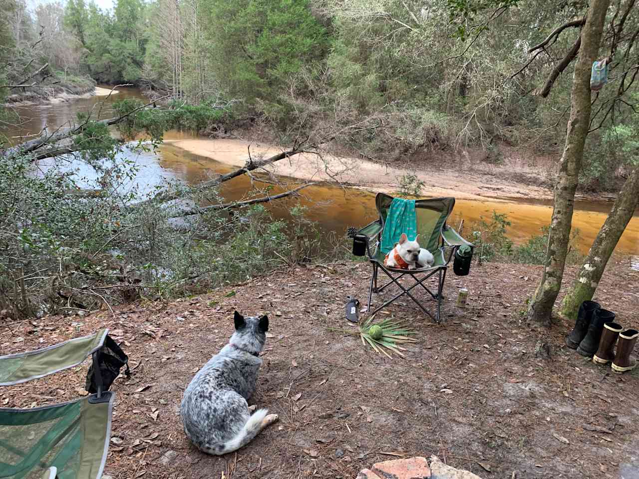 CampFire at the Riverbend