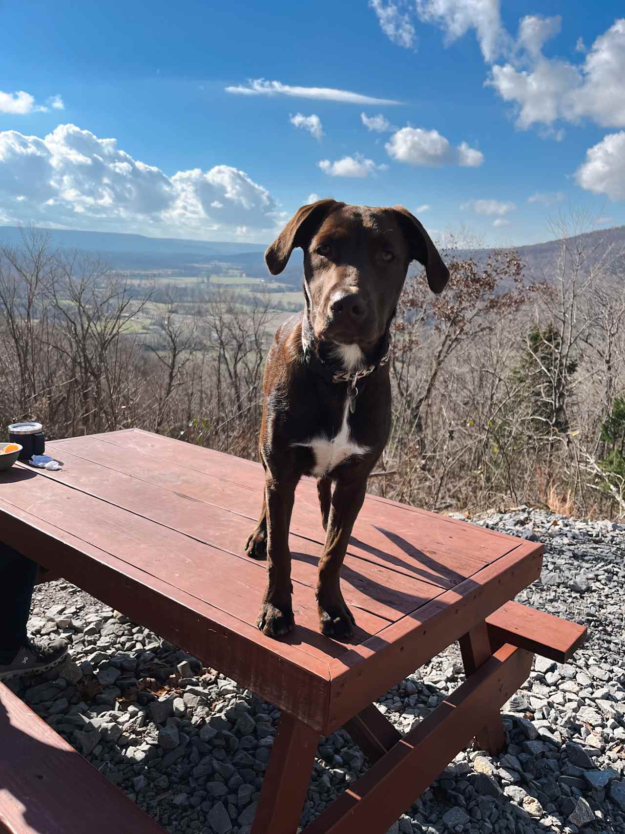 Elk Head Overlook