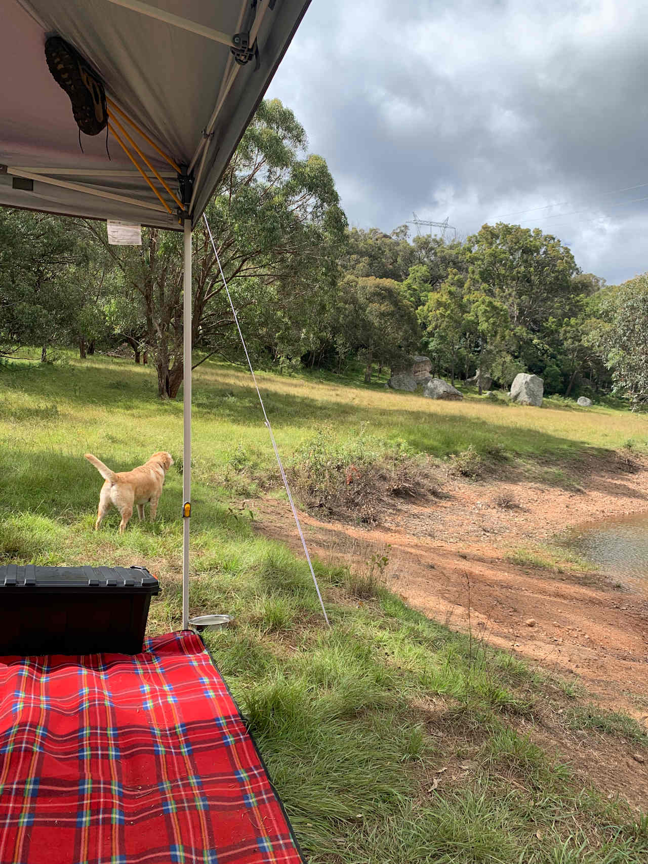 Temple Court, Murrurundi