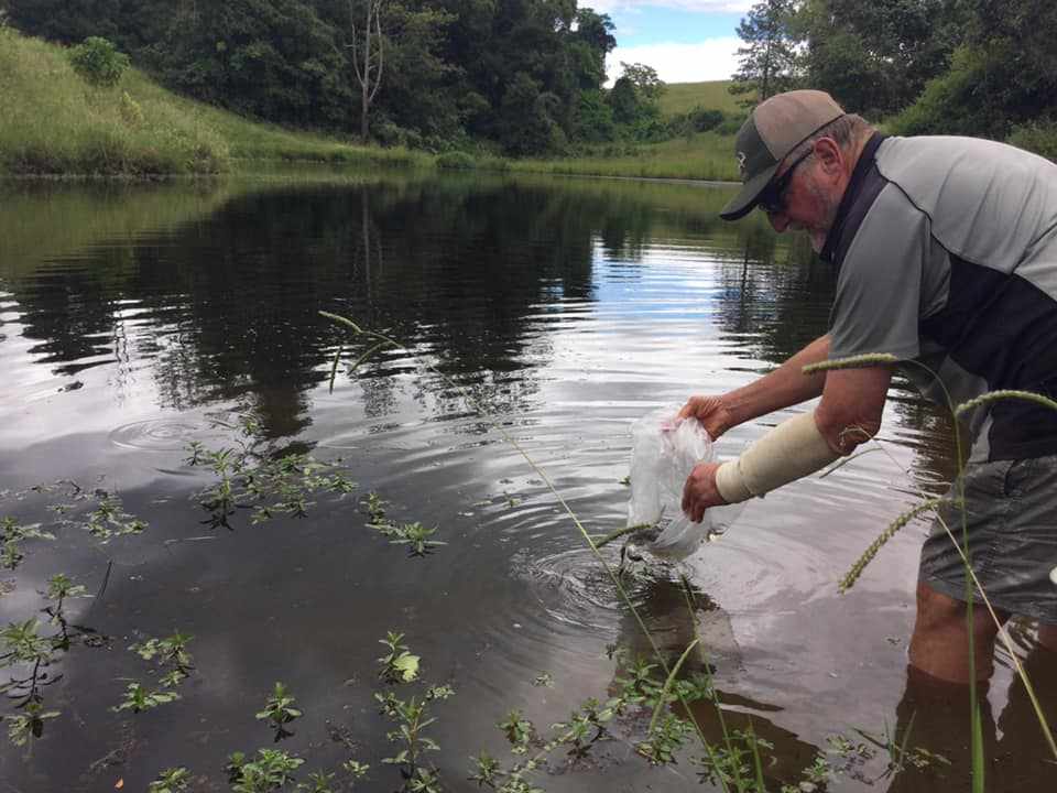 Released 200 mixed bag of fingerlings Bass, Yellowbelly and Silver Perch at water hole by campground.