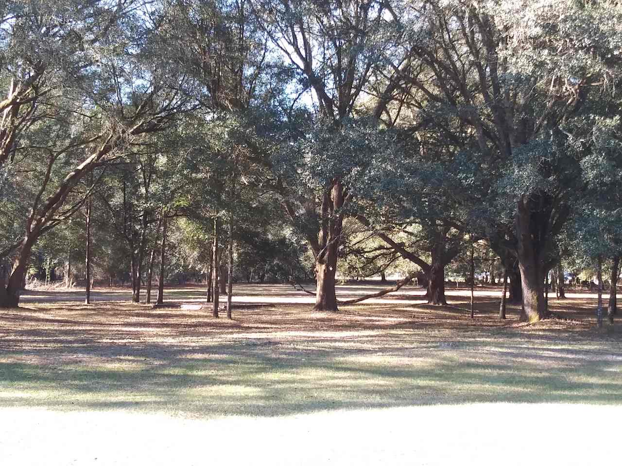 Camp under the oaks with power and water.