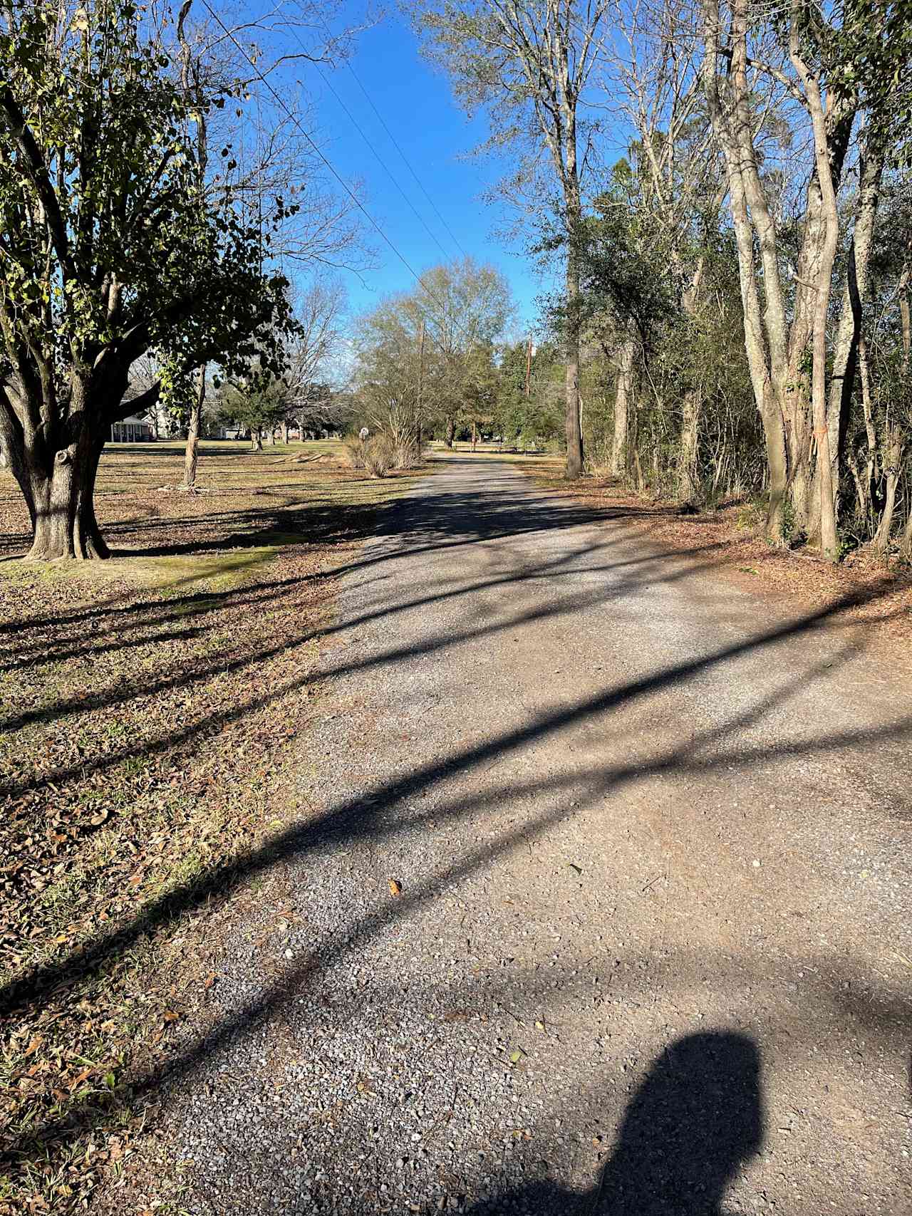 Payne Lane Farms & Campground