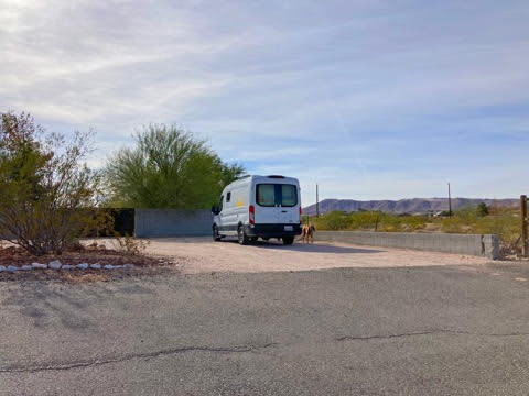 Beagletopia Among The Desert