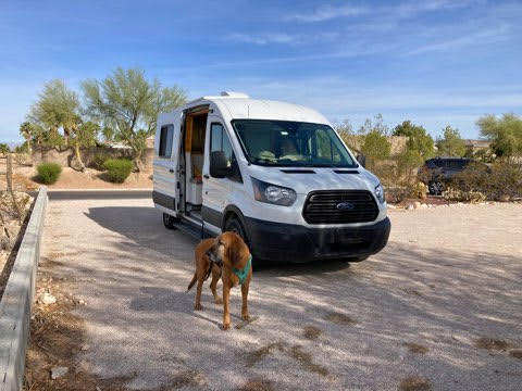 Beagletopia Among The Desert