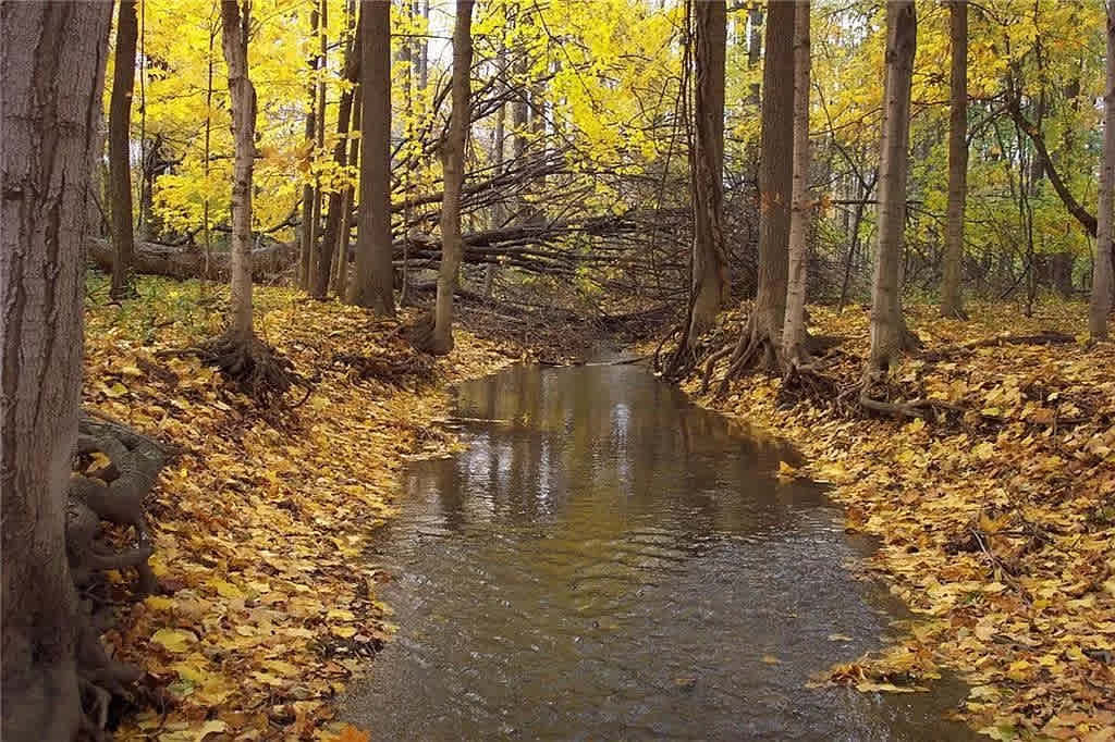 Secluded Camping on the Canal