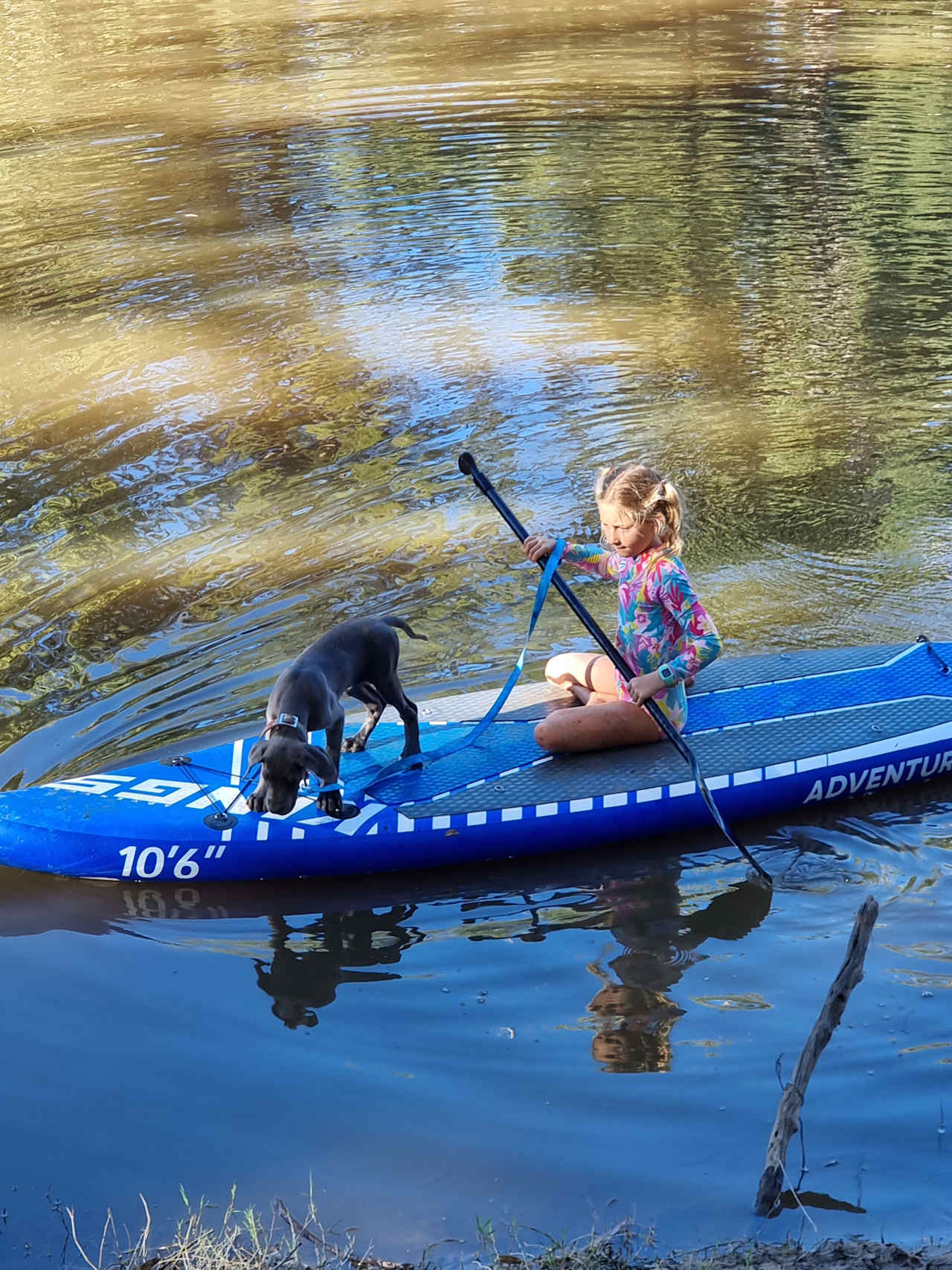 Bushland Hideaway on the River