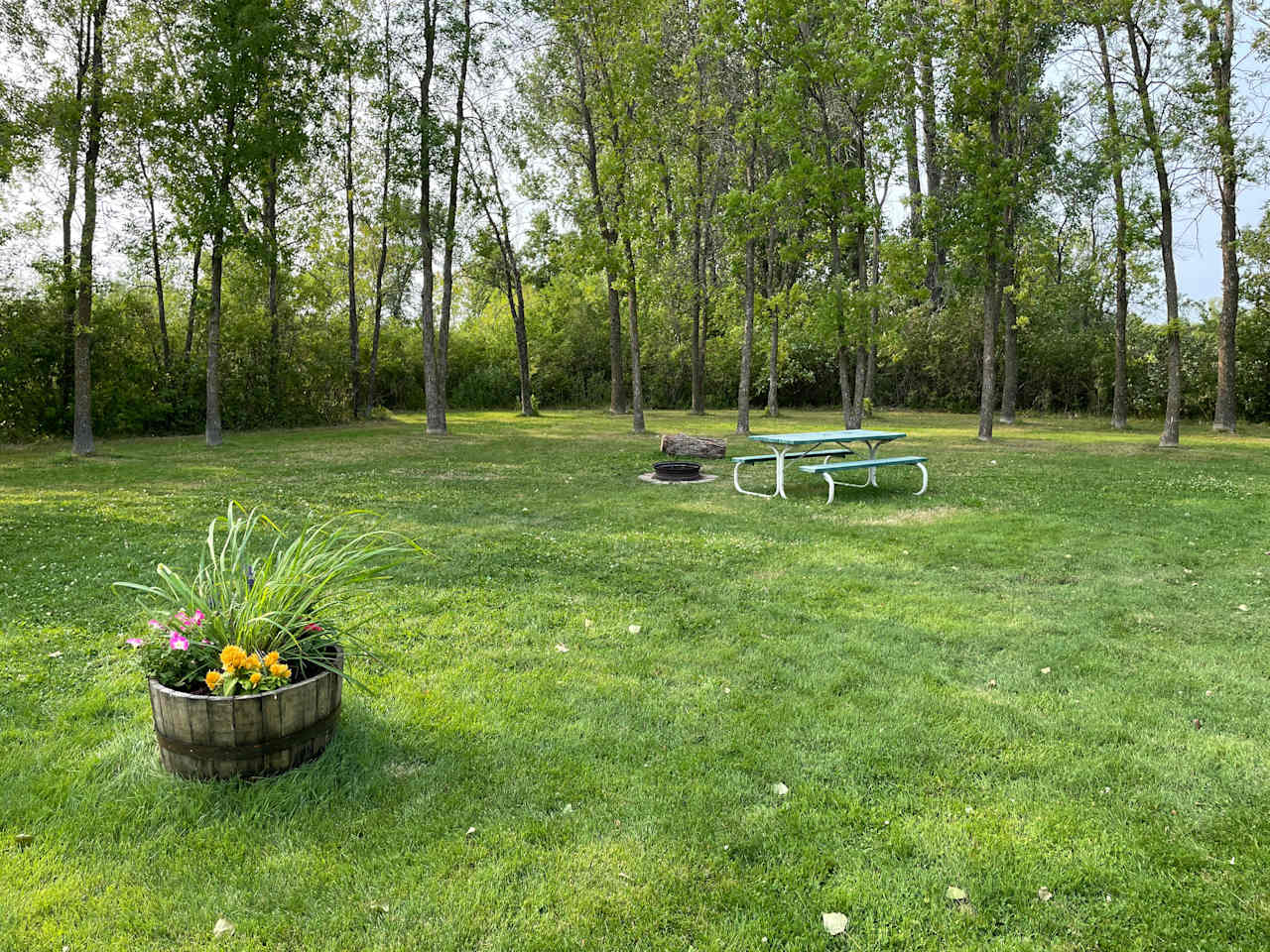 View of Grasslands 3 Primitive Tent Camping Site