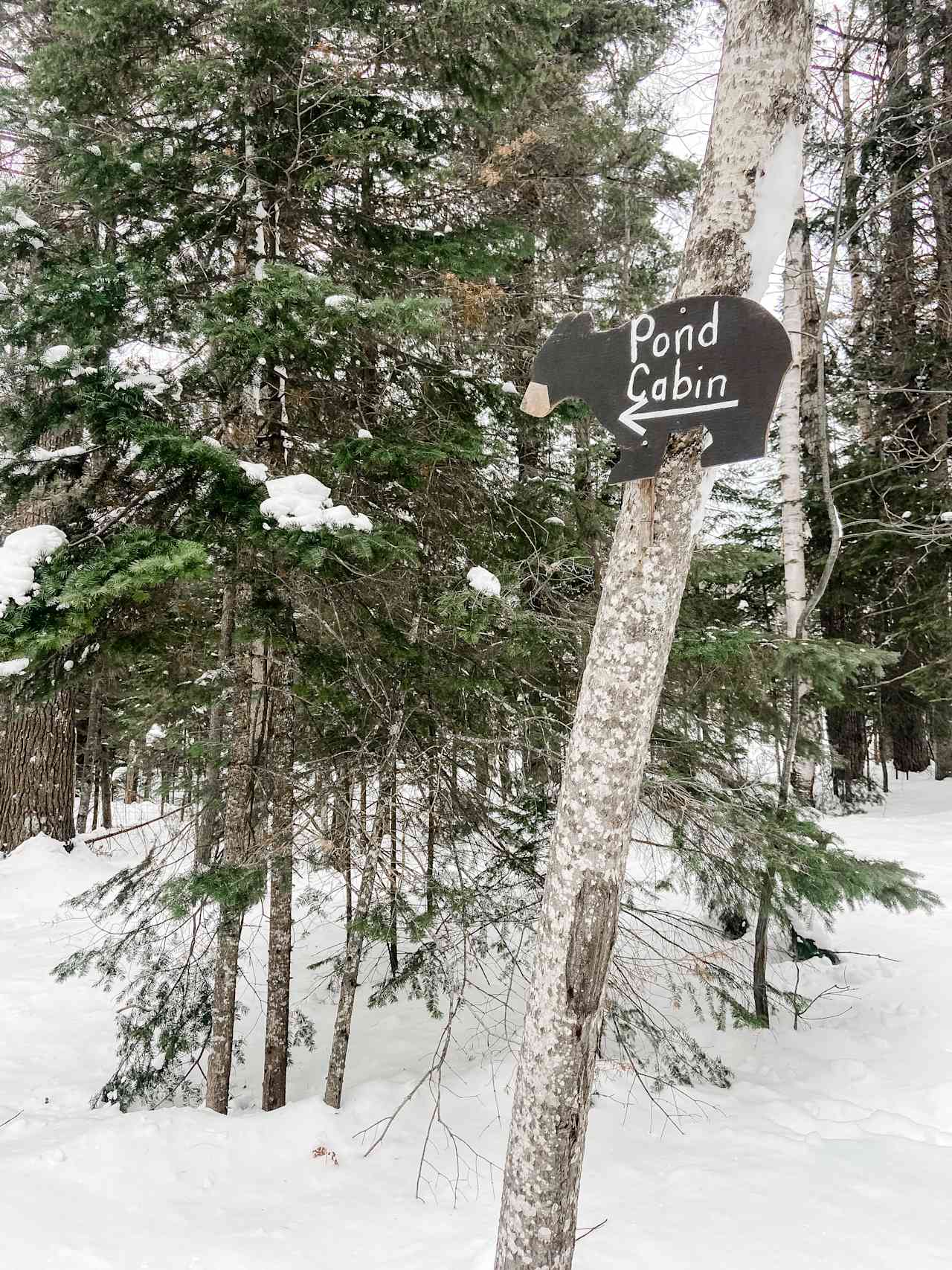 Bear Tree Homestead