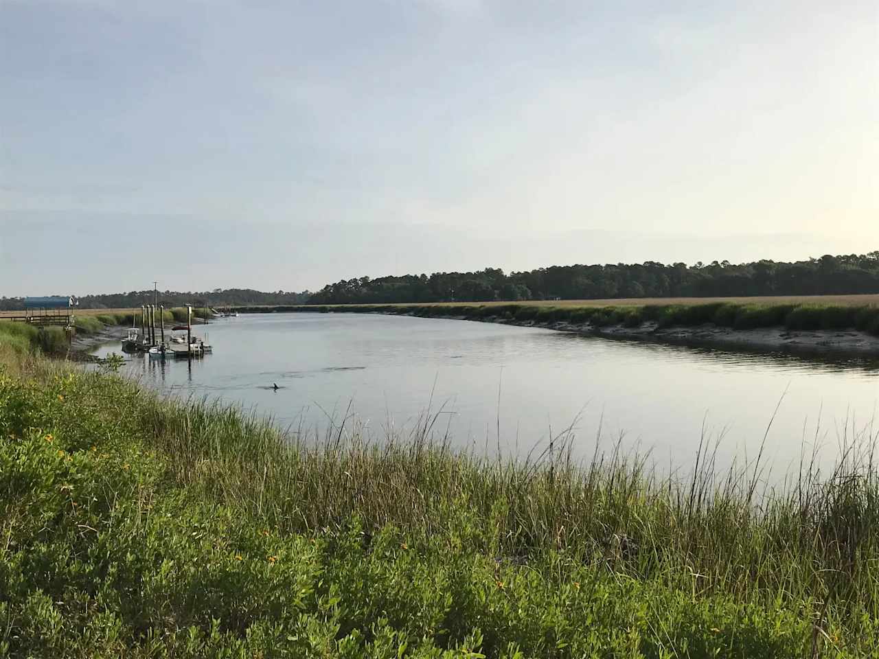 Belle Bluff Island Campground 