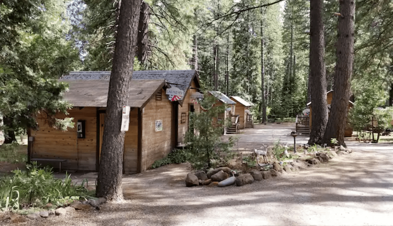 Peter's Forest Vacation Rentals