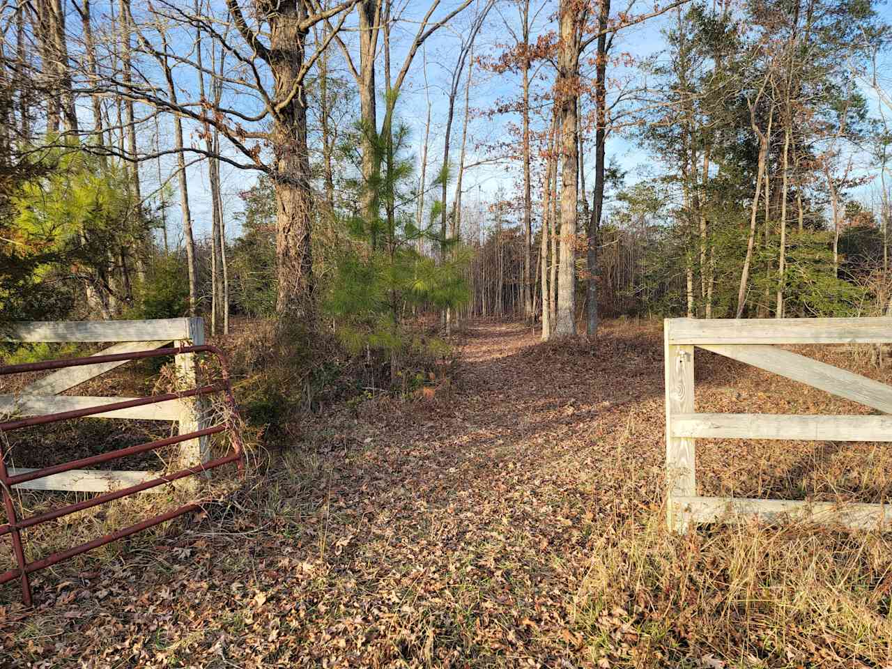 One of the cattle gates that lead into the wooded areas.