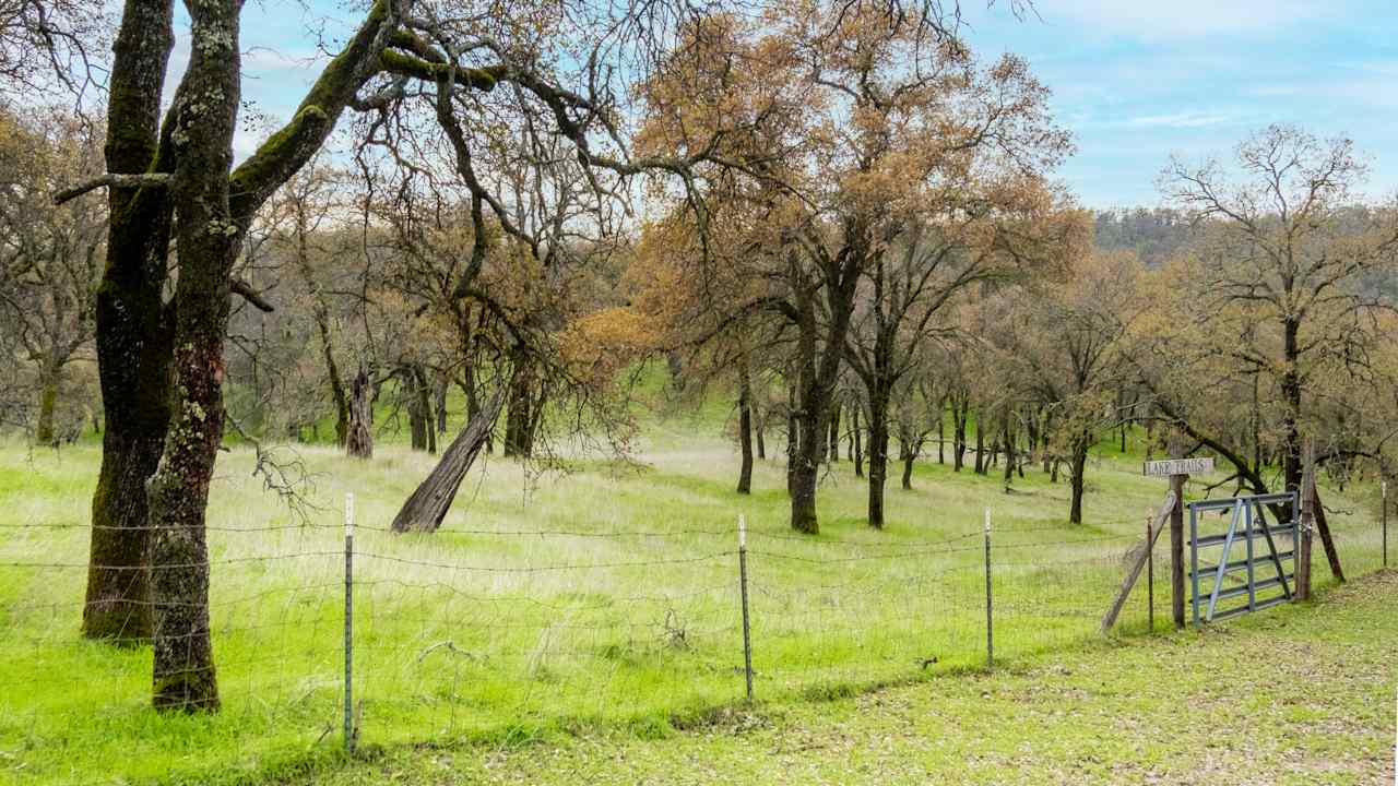 Ascension Ranch