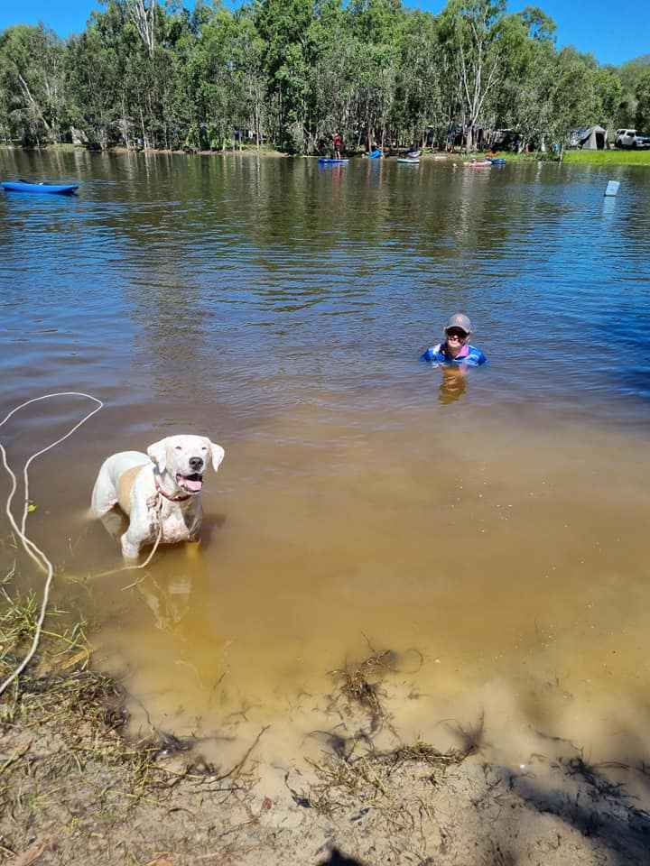 Baffle Creek Camping  Midskinrick