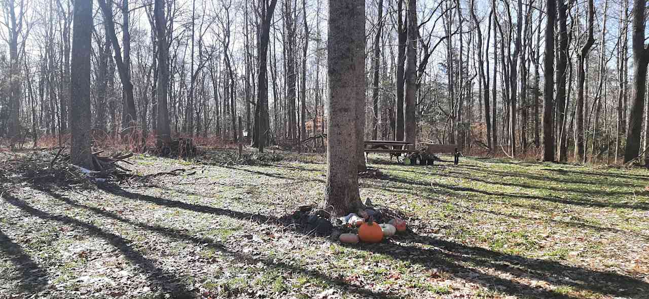 Historic "GREEN HILL" on the Nomini Creek